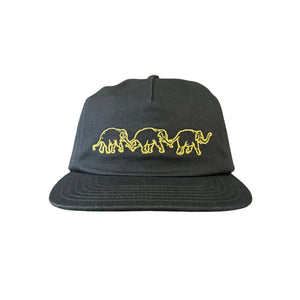 Vans - Skate Agah VCU Hat (Black)