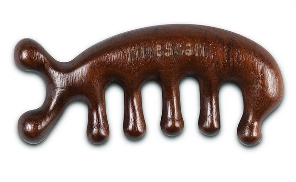 Time Scan - Wood Massage Tool